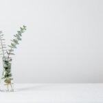 Finding Calm in the Chaos: Gentle Ways to Manage Holiday Stress